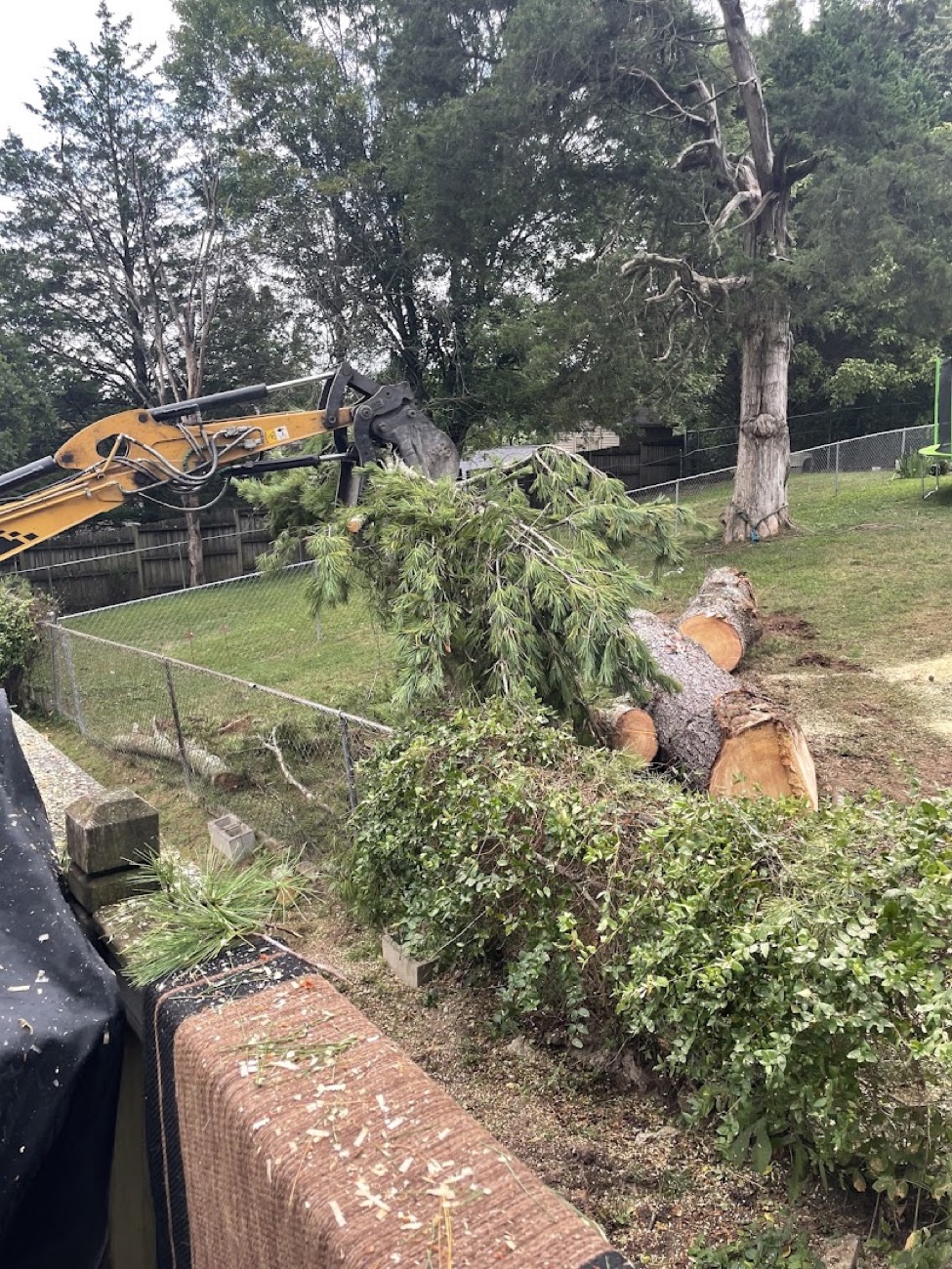 An excavator with a grapple clearing felled trees from a lot