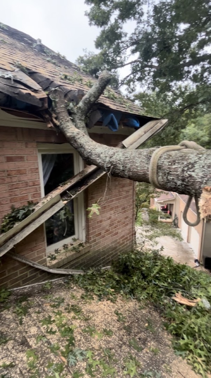 A large tree branch resting against a brick house after a storm