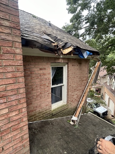 A large tree that fell onto a brick house being removed