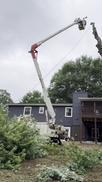 A crane lowering a large log beside a house