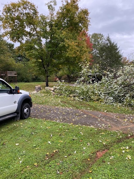 A pickup truck loaded with brush in a driveway