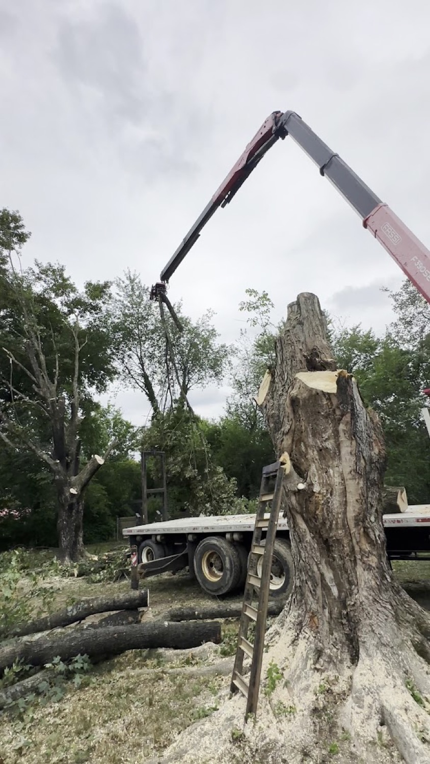 A crane lifting a large tree section on a Nick's Tree Service job
