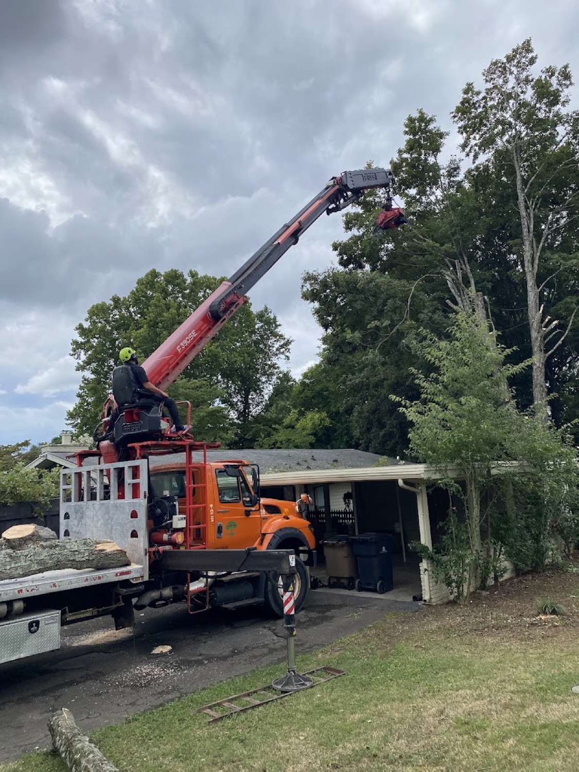 A crane working a tree removal on a Knoxville job